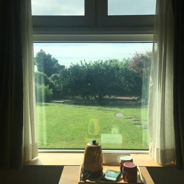 서귀포 감성숙소 <비레이지 게스트하우스>