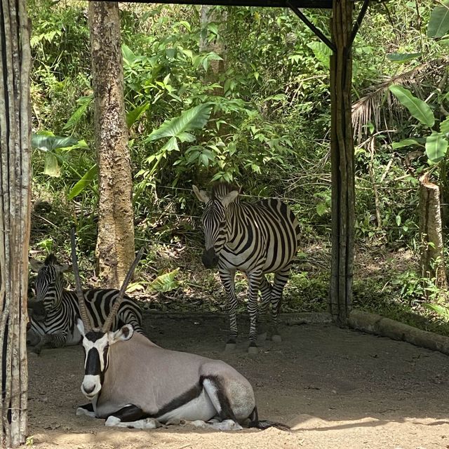 Live a Life with Wildlife