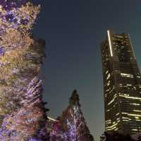 【横浜】マークイズみなとみらいのイルミネーションと紅葉のコラボレーション