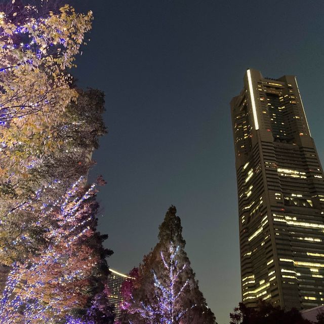 【横浜】マークイズみなとみらいのイルミネーションと紅葉のコラボレーション