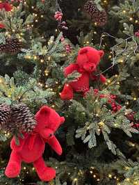 여긴 벌써 크리스마스🎄