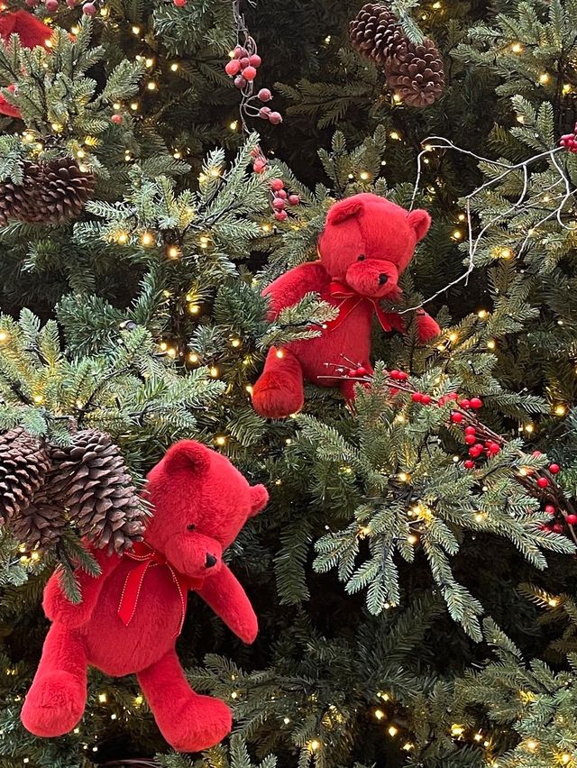 여긴 벌써 크리스마스🎄