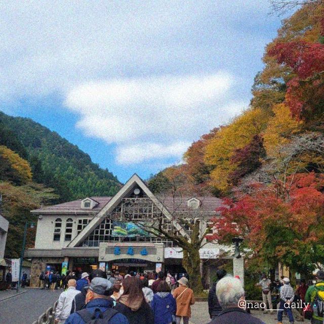 【秋晴れの高尾山🏔】