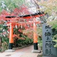 日本最古の神社　世界遺産　宇治上神社