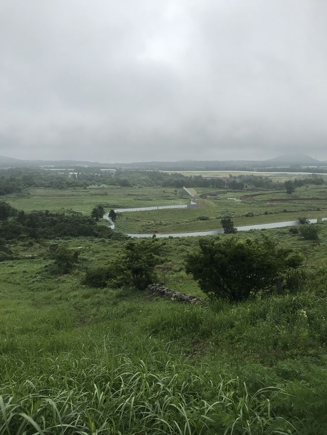 제주도 서쪽 여행,애월 새별오름