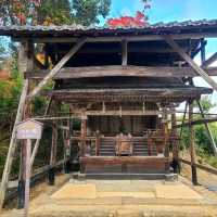 室町時代からの歴史的文化財も多数【二尊院】✨
