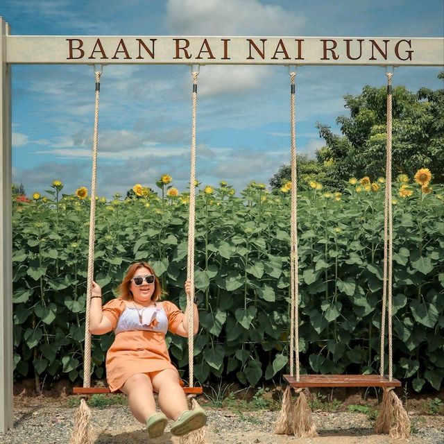 บ้านไร่นายรุ่ง เปิดให้เข้าชมทุ่งดอกทานตะวัน🌻