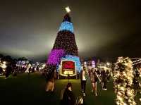 Christmas Attraction #11: The Biggest Outdoor Christmas Tree