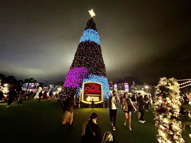 Christmas Attraction #11: The Biggest Outdoor Christmas Tree