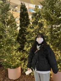 🎄 대형트리와 크리스마스 마켓이 있는 의왕 타임빌라스 🎄