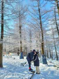 차타고 해발1330m 만항재를 즐기는 눈꽃여행❄️🤍