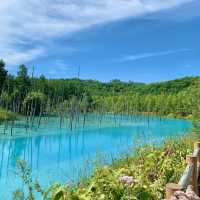 【北海道の魅力】美しすぎる池