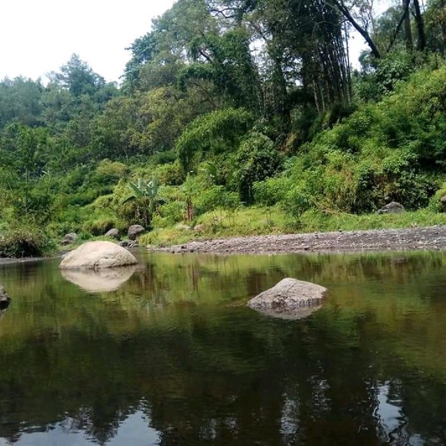 LedokOmbo