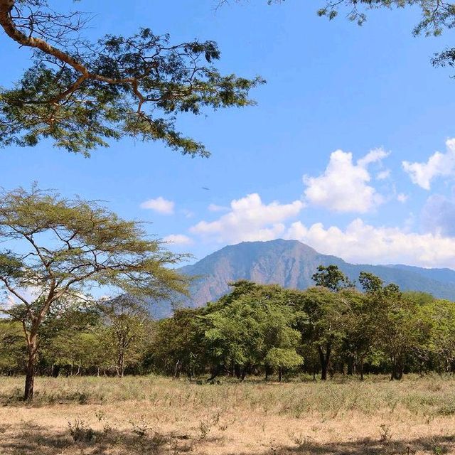 BALURAN NATIONAL PARK, BANYUWANGI