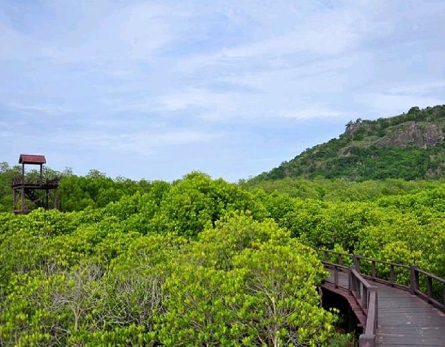 วนอุทยานปราณบุรี☘️🌳