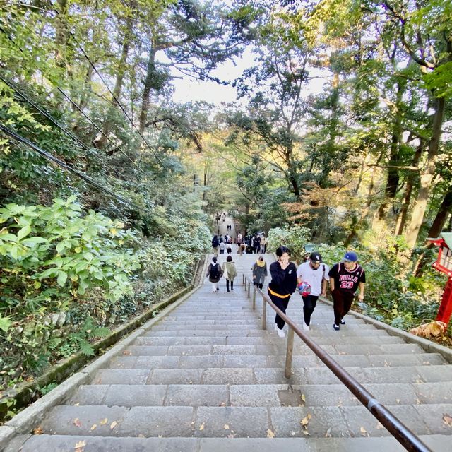 高尾山の男坂