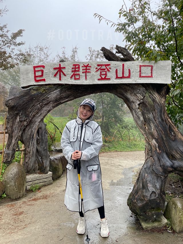 新竹景點推薦｜司馬庫斯山 被美景震懾的上帝的部落