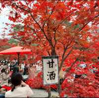 京都[紅葉めぐり]  永観堂[禅林寺]  (感動の庭園編)