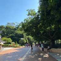 鬧市中的公園 — 九龍公園