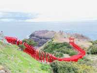 【山口】鳥居がたくさん！元乃隅神社