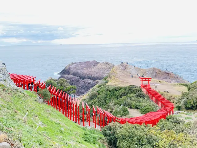 【山口】鳥居がたくさん！元乃隅神社