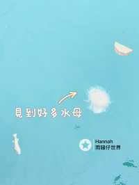 海鮮+放風箏