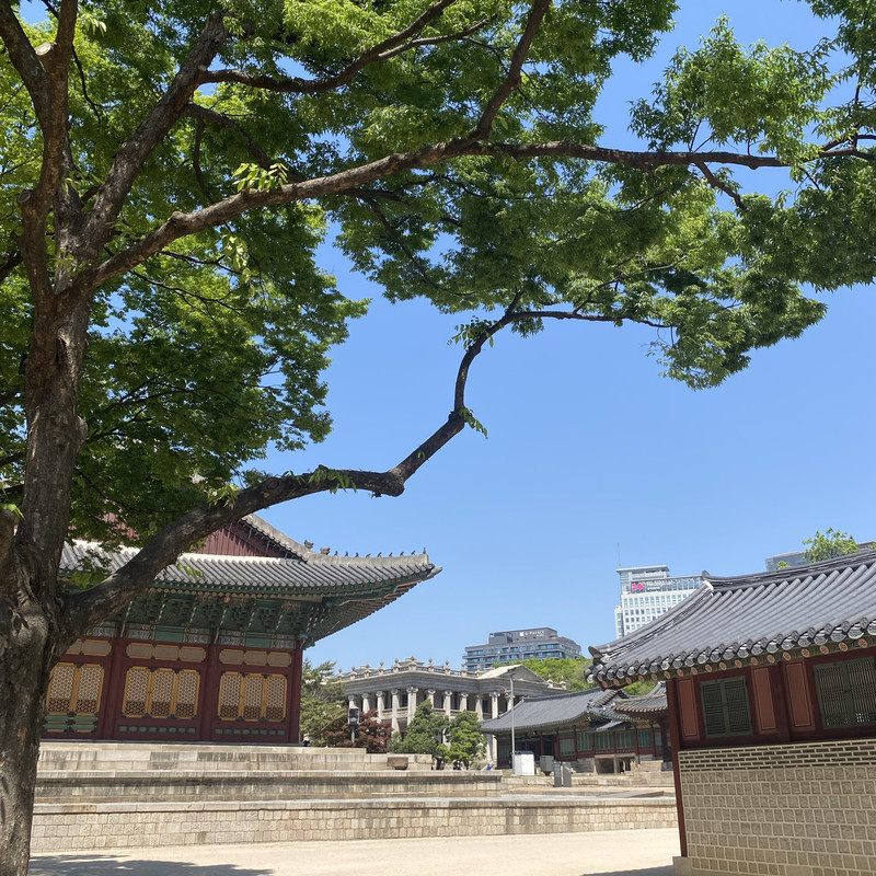 덕수궁 | 트립닷컴 서울