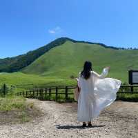 曽爾高原は緑の美しさがやばい！