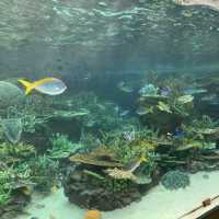 名古屋港水族館🐟