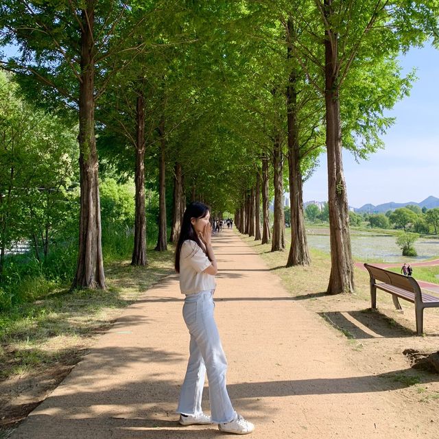 공주여행 