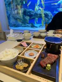 아쿠아리움이 보이는 고급 레스토랑 광교 수린 🐬💙