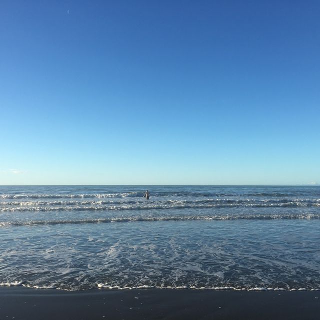 뉴질랜드 남섬 래빗아일랜드🐇🏖
