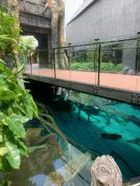 🐬Aquarium Phuket อควาเรียม ที่ใหญ่ที่สุดในภูเก็ต