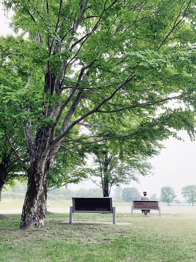 群馬＊群馬県立館林美術館