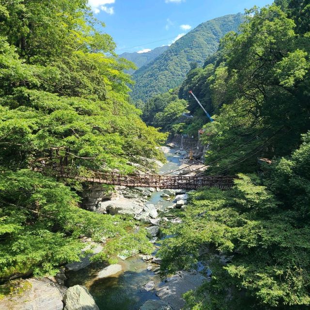【かずら橋】国指定重要有形民俗文化財のツタ大橋