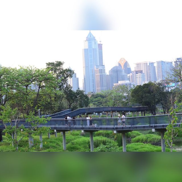 สวนป่า กลางกรุง
