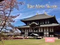 Todai-Ji Daibutsuden Hall at NARA 