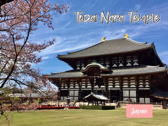Todai-Ji Daibutsuden Hall at NARA 