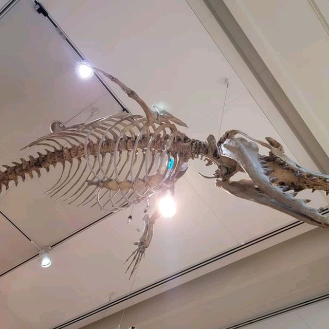Smithsonian Museum of Natural History 