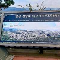 N Seoul Tower (Namsan Observatory Tower)