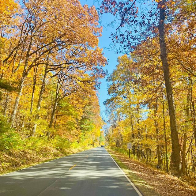 Beautiful road trip in Virginia 