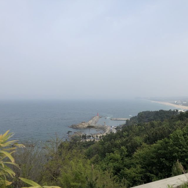 이색적인 절, 해안가 옆에 위치한 낙산사