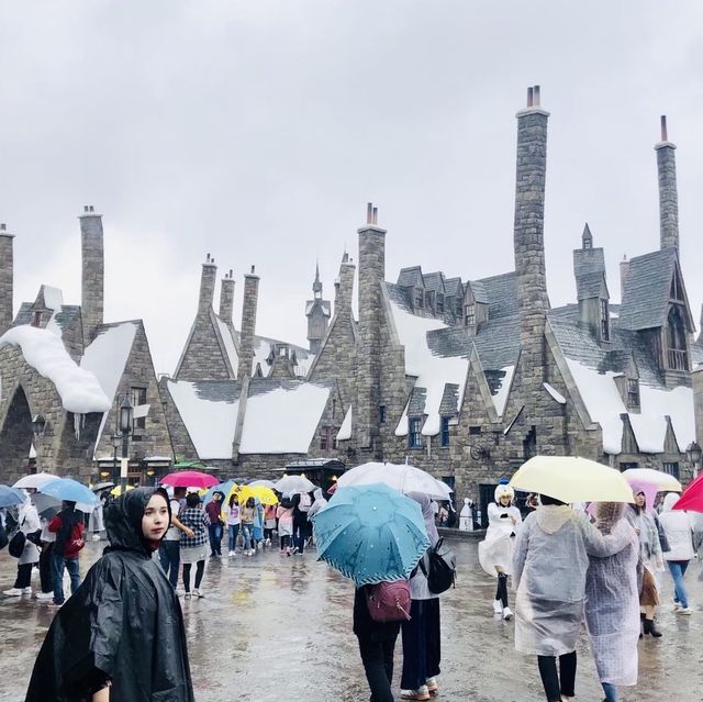 The Wizarding World of Harry Potter 