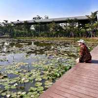 ที่เที่ยวสไตล์ธรรมชาติ ดื่มด่ำบรรยากาศสุดฟิน 