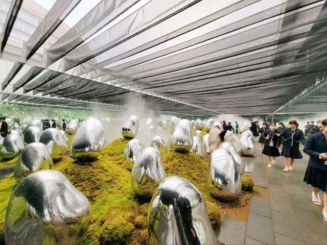 豐洲市場吃飽後好去處 豐洲teamLab Planets Tokyo美術館