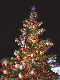 【表参道】クリスマスツリーが素敵！