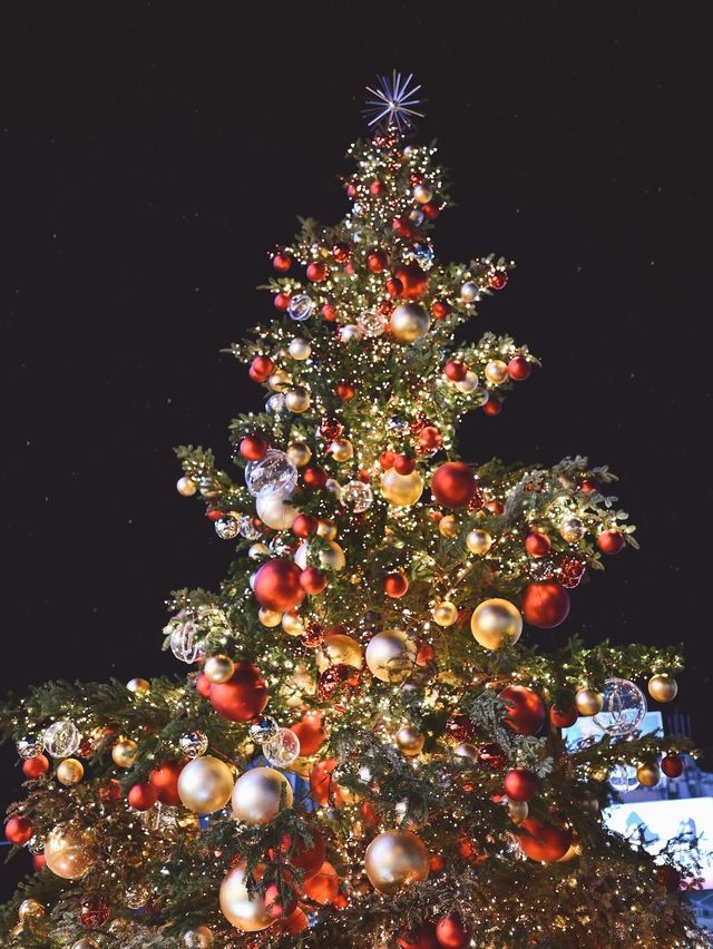 【表参道】クリスマスツリーが素敵！