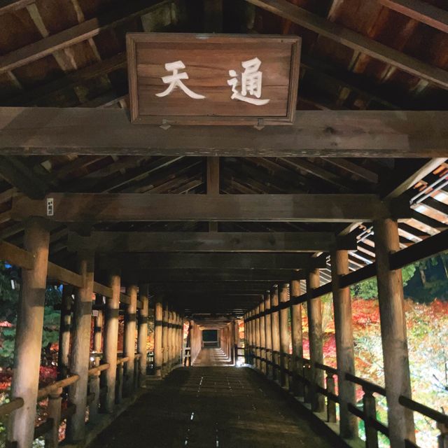 【京都】幻想的な光と影と紅葉