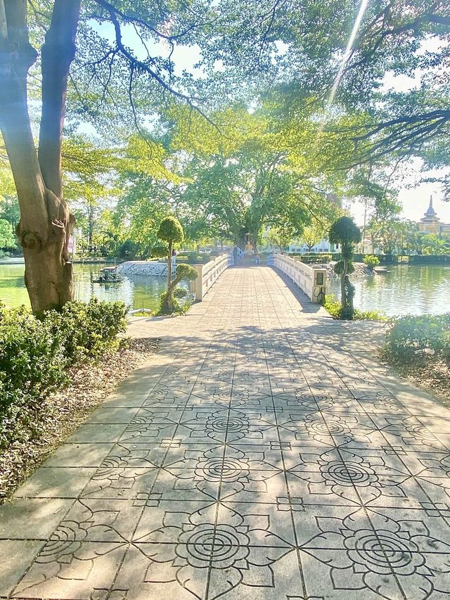 ต้นพระศรีมหาโพธิ | วัดพระศรีมหาธาตุ|กรุงเทพมหานคร