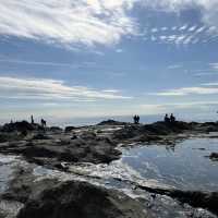 Enoshima 1/2 day tour 